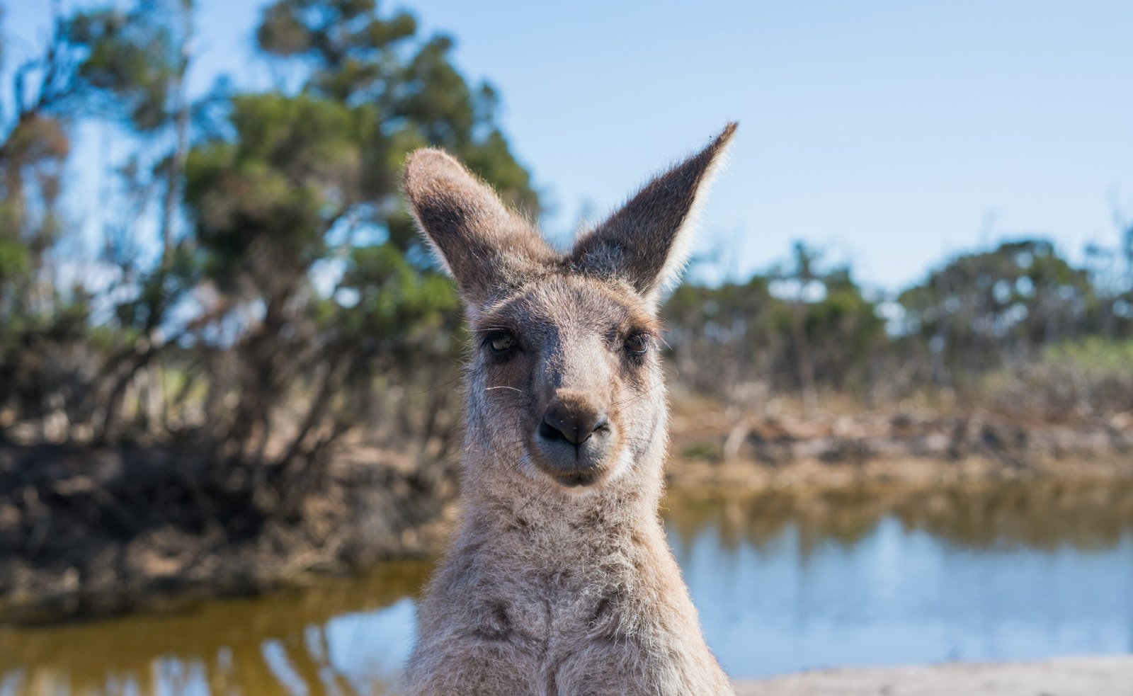 Lugares Increíbles en Australia que Debes Ver | Guía de Viaje