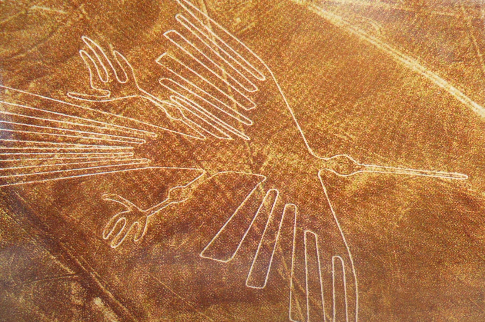 Aventúrate en un viaje a las líneas de Nazca: ¿Qué significan realmente estas geoglifos del desierto Peruano?