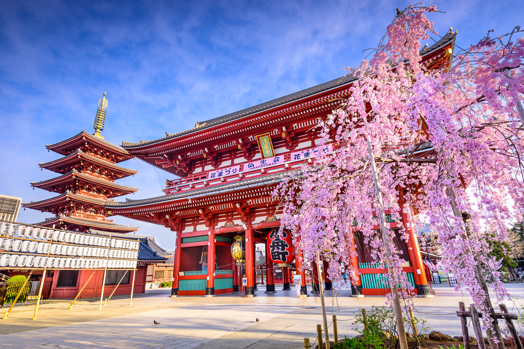 Descubre la verdadera esencia de Tokio: qué ver y hacer en la capital japonesa