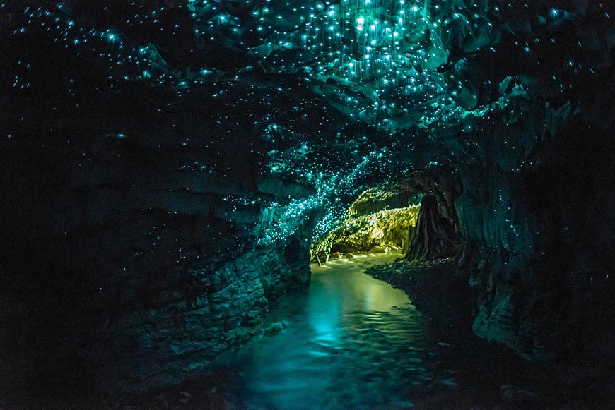Todo lo que necesitas saber sobre las cuevas Glowworm en Waitomo, Nueva Zelanda